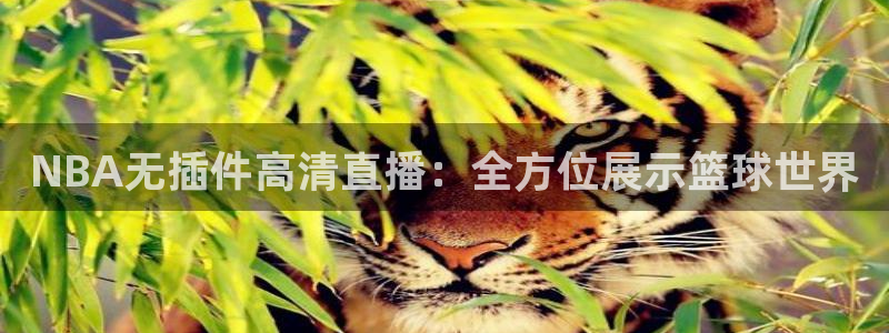 足球直播西瓜看球：NBA无插件高清直播：全方位展示篮球世界