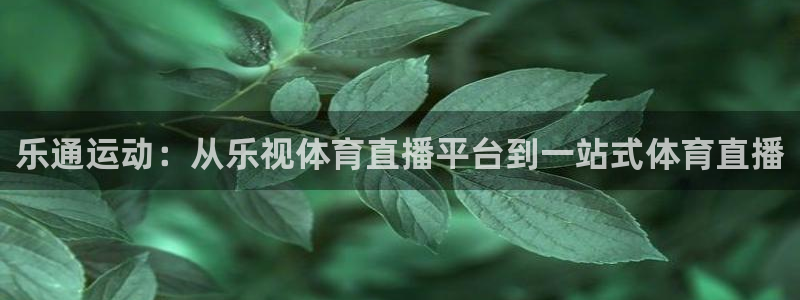 西瓜看球nba直播在线观看：乐通运动：从乐视体育直播平台到一站式体育直播