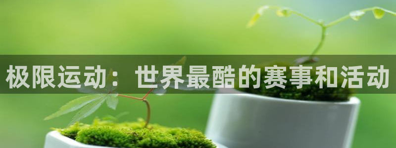 西瓜看球直播：极限运动：世界最酷的赛事和活动