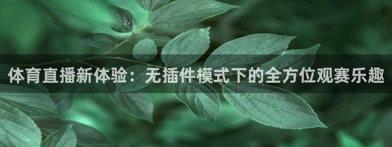 西瓜看球nba直播在线观看：体育直播新体验：无插件模式下的全方位观赛乐趣
