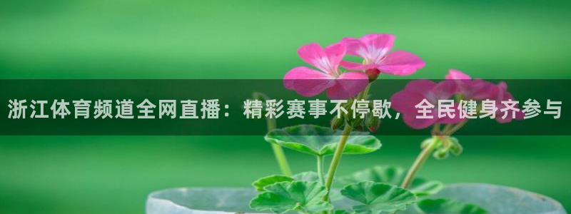 西瓜看球在线直播免费观看直播