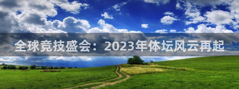西瓜看球网页版