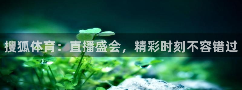 西瓜看球下载：搜狐体育：直播盛会，精彩时刻不容错过