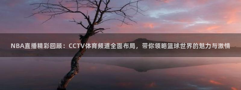 西瓜看球手机版