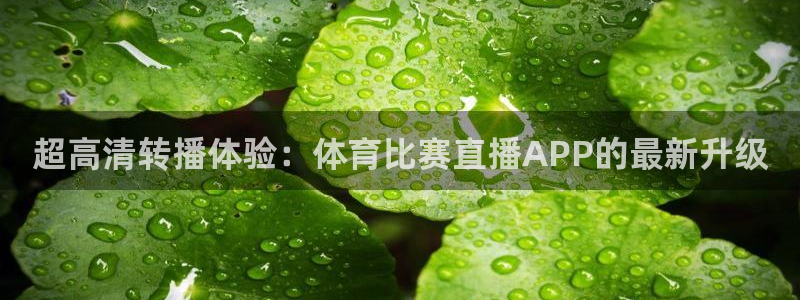 西瓜看球手机版