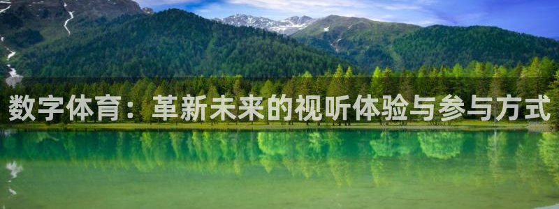 西瓜看球免费观看：数字体育：革新未来的视听体验与参与方式